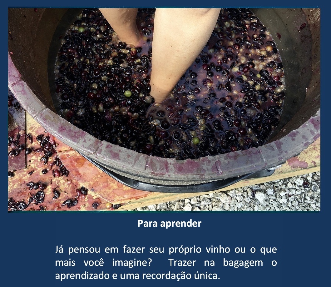 Viagem em vinicolas.jpg